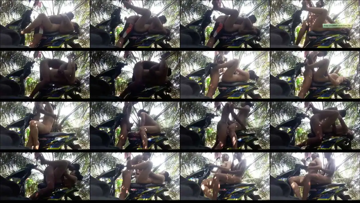 Bokep Indo Di Atas Motor Dan Di Kebun S...