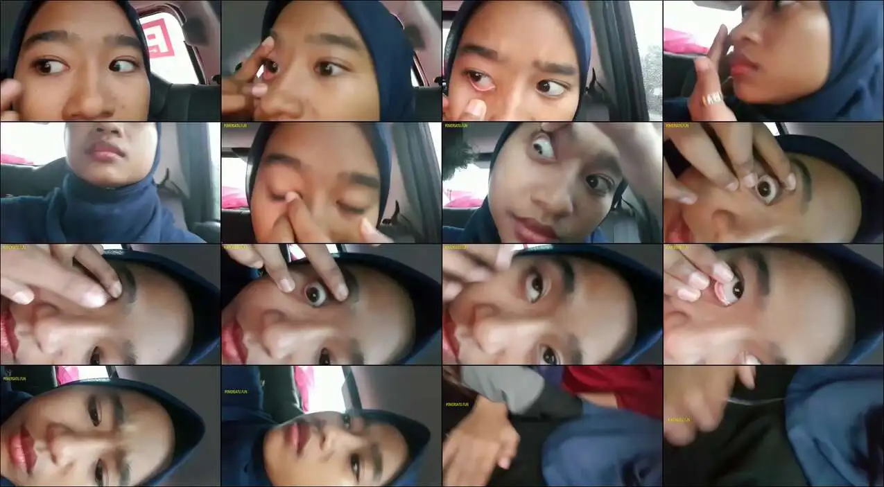Eisya(3) (new)