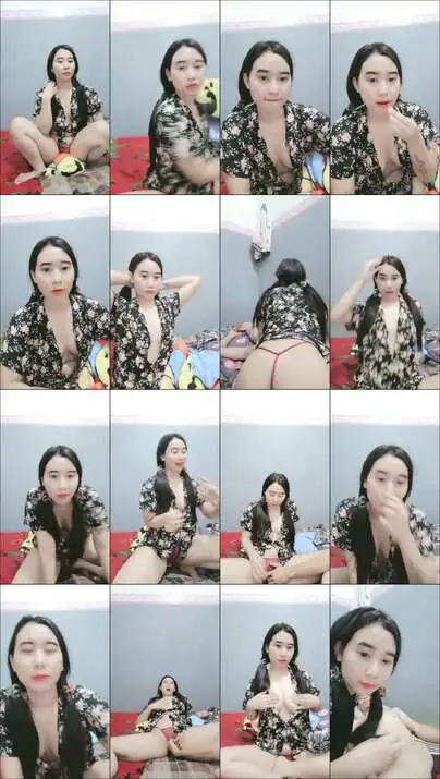 HIK 344 ameeerlita