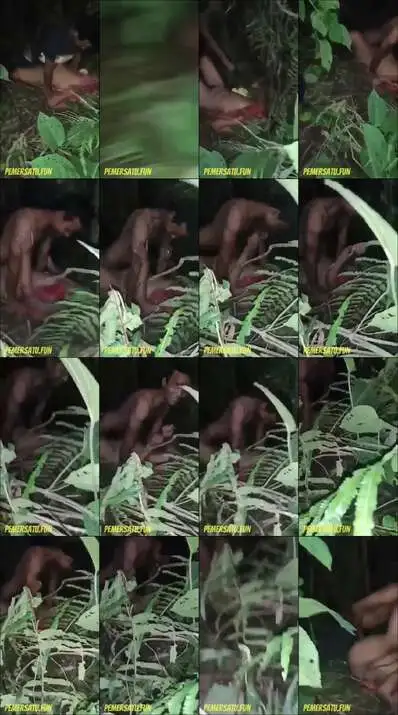 nemenin temen ngentot di hutan (new)