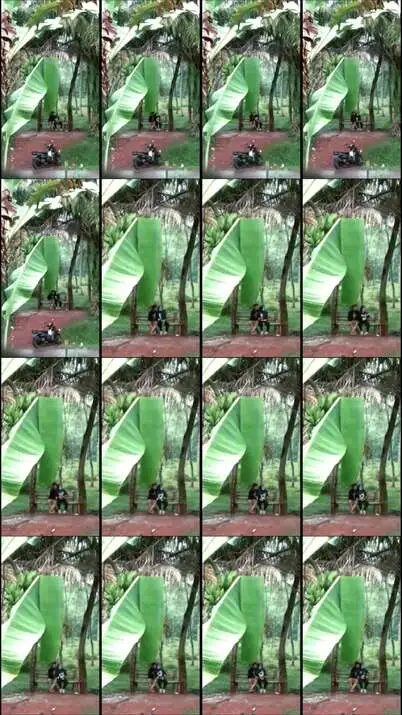 Ngintip Hijab Pacaran