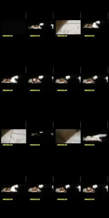 ngintip memek perawan mulus tanpa bulu ...