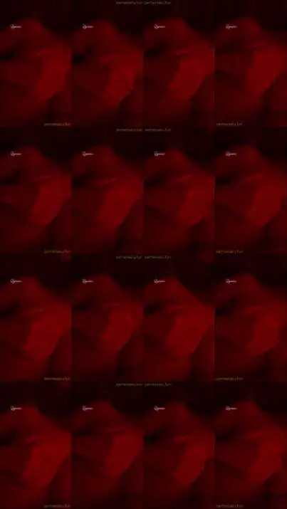 Tata FullPack (32)