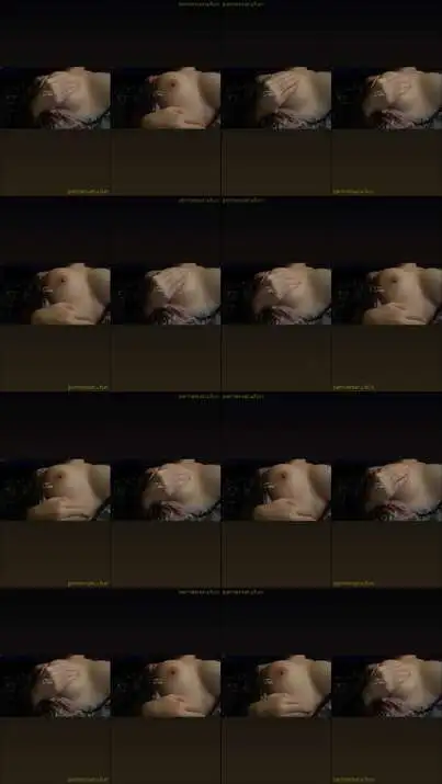 Tata FullPack (9)