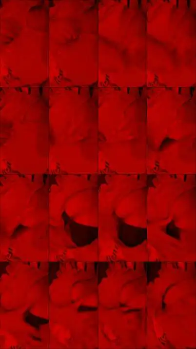 VID 20200405 WA0098
