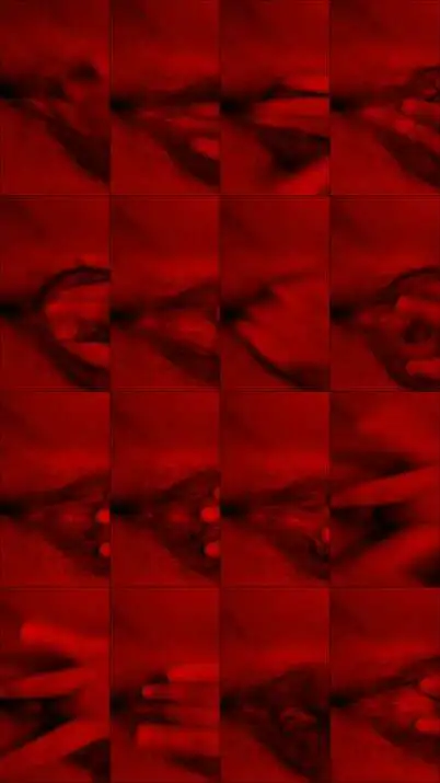 VID 20200405 WA0100