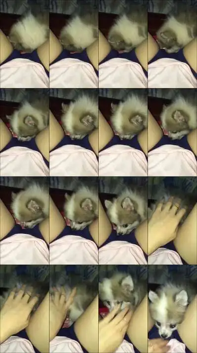 video 1471456722