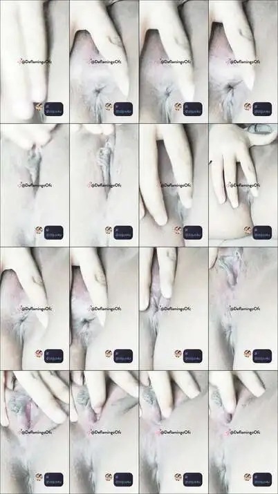 Zieya(@hellowpanda1)33