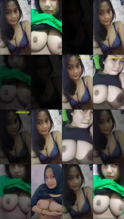 zilla pemersatudotfun6